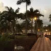 Lori Wareham-Uber - @luk0769 - TikTok