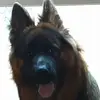 Lorraine Wareham - @lorraine.wareham - TikTok