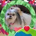 Lorrie Warlick - Facebook