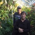 Lori Warnick - @loriwar2 - Instagram