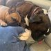 Lorie Warnick - Facebook