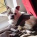 Laura Watterson - Facebook