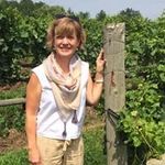 Lori Wayland - @loriwayland - Instagram