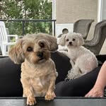 Lori Weech - @llweech - Instagram