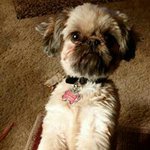 Lori Weed - @weedlori - Instagram