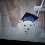 Lori Weed - @llareau685 - Instagram