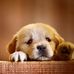 Lori Wehr - Facebook