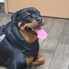Lori Weikel - @loriweikel - TikTok