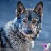 Laura Weiler - Facebook