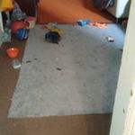 Lori A Follweiler - @follweilerlori - Instagram