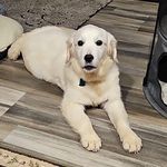 Lori Miller Weiler - @lori.millerweiler - Instagram
