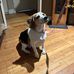 Lori Weisman - Facebook