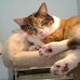 Lori Weisman - Facebook