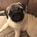 Lori Weisman - Facebook