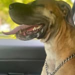 Lori Kline - @loriweisner - Instagram