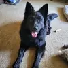 Lori Wisner - @lori.wisner - TikTok