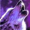 lori weisinger - @loriweisinger - TikTok