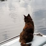 Lora Wendling McLain - @mclain_lora - Instagram