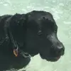 Lori Wiseman - @lori.wiseman - TikTok