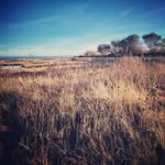 Lori Westerman - @loriwesterman25 - Instagram