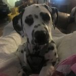 Lori Wharton - @wharton5354 - Instagram