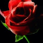 Lori Wheatley - @wheatley9983 - Instagram
