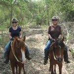 Lori DeFraine Wheaton - @lwheatonfb - Instagram