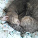 Lori  Whitman - @loriwhitman9 - Instagram