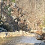 Lori Anne Whitman - @whitmanla9 - Instagram
