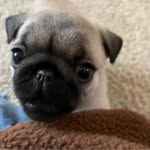 Lori Whitman - @lori.c_whitman - Instagram
