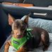 Lorie Whitt - Facebook