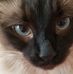 Lori Wiese - Facebook