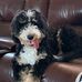 Lori Wiese - Facebook