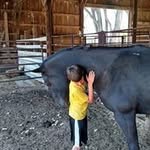 Lori Reeves Wilbert - @lorireeveswilbert - Instagram
