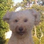 Lori Wilber - @grozzypotato - Instagram
