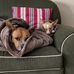 Lori Wilber - Facebook