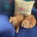 Lori Wildman - Facebook