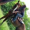 Lori Wildman - @lori.wildman - TikTok