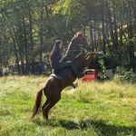 Lori Wildman - @loriwildman75 - Instagram