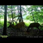 Lori Wildman - @loriwildman6 - Instagram
