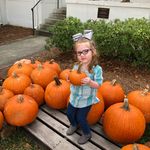 Lori Wildman Nonnemacher - @lan1540 - Instagram