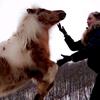 loriwildman4 - @loriwildman4 - TikTok