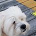 Lori Wilkins - Facebook