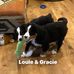 Lori Willard - Facebook