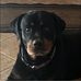 Lori Willhite-McBrayer - Facebook