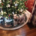Lori Willman - @shamrock1963 - Instagram