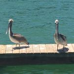 Lori Willman - @loriwillman24 - Instagram