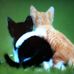 Lori Willman-Antonecchia - Facebook