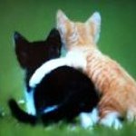 Lori Willman-Antonecchia - @xrayted66 - Instagram