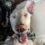 Lori Wilmot - @eggnogeggnogpowder - Instagram